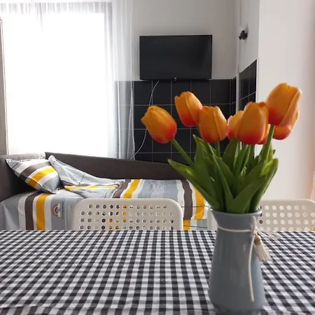 Beus Apartament Kursumlija